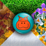 Hippo seasons