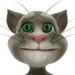 Talking Tom App