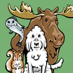 Shelby's Quest App