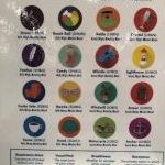 Chart showing 16 voice types with descriptions