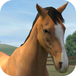 My Horse App