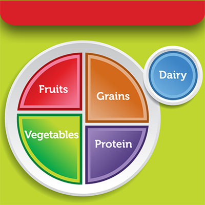 My Daily Plate App