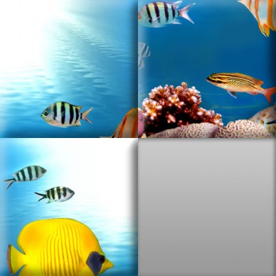 Little Puzzles for Kids App