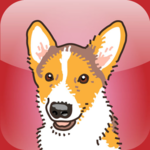 Catch the Dog! App