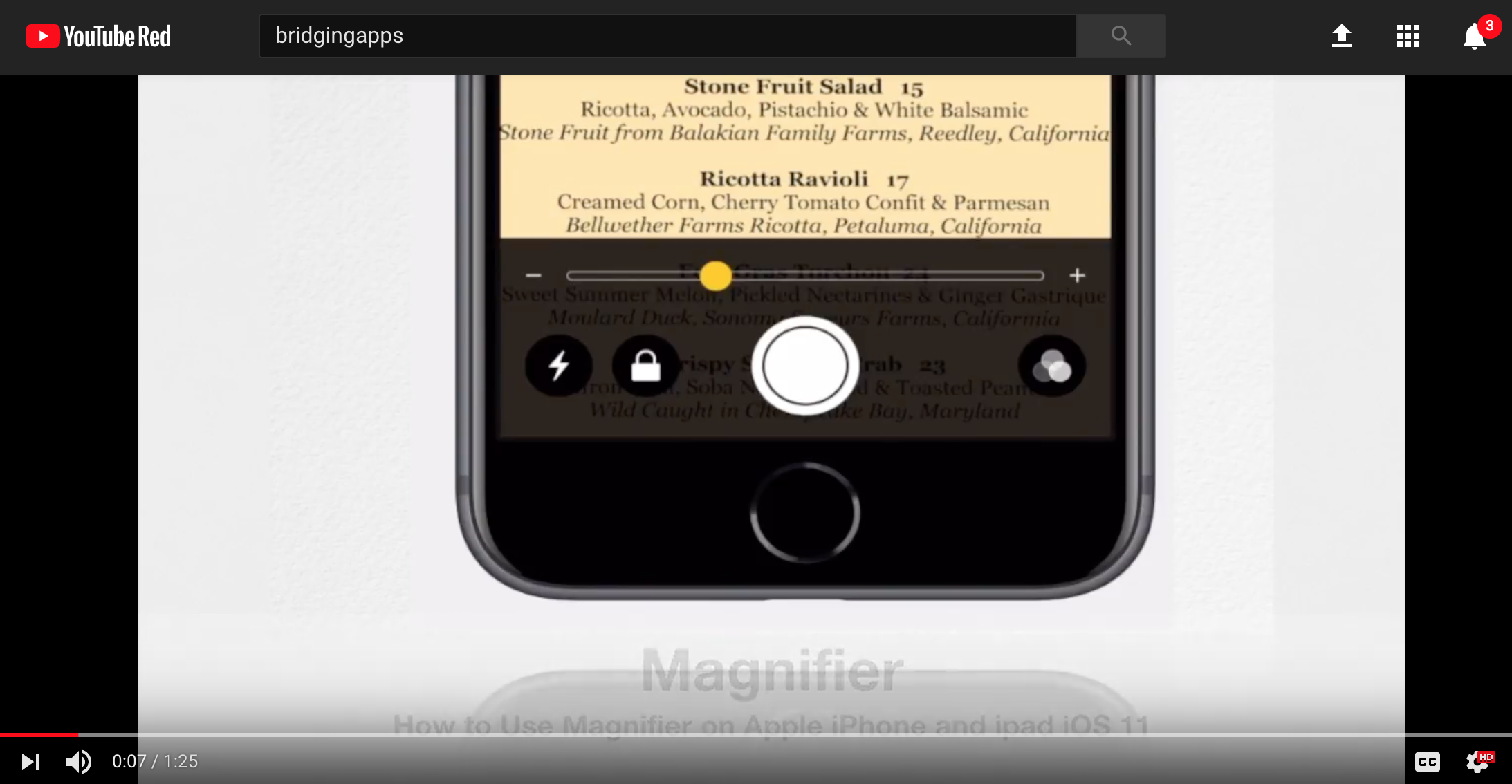 Magnifier Feature iOS 11