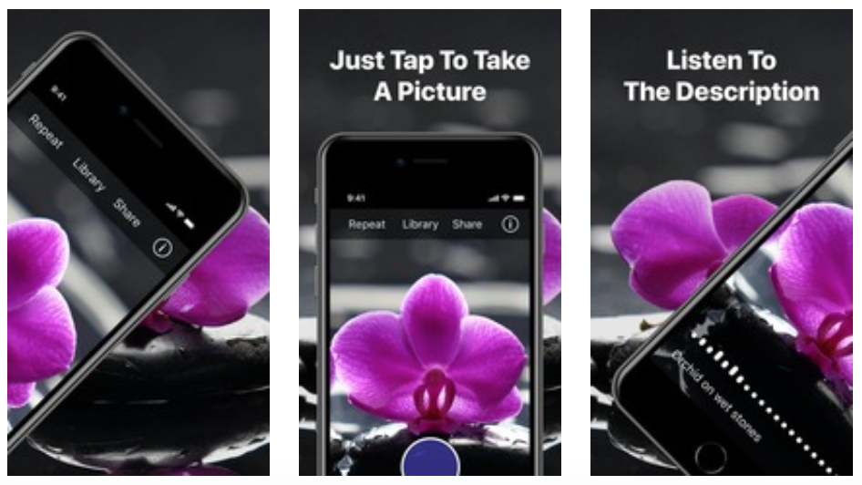 tap tap see graphic