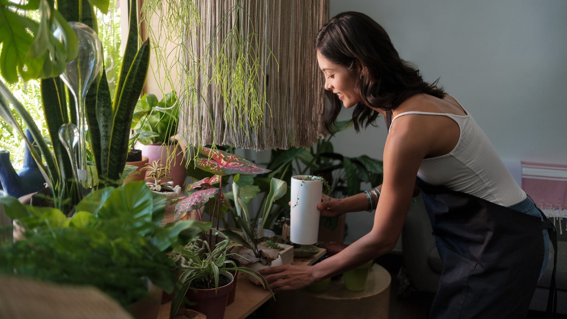 lady tending plants