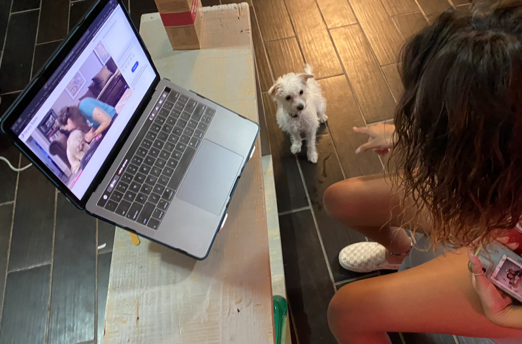 Girl watching dog training video on laptop and pointing to dog sitting on the floor by her