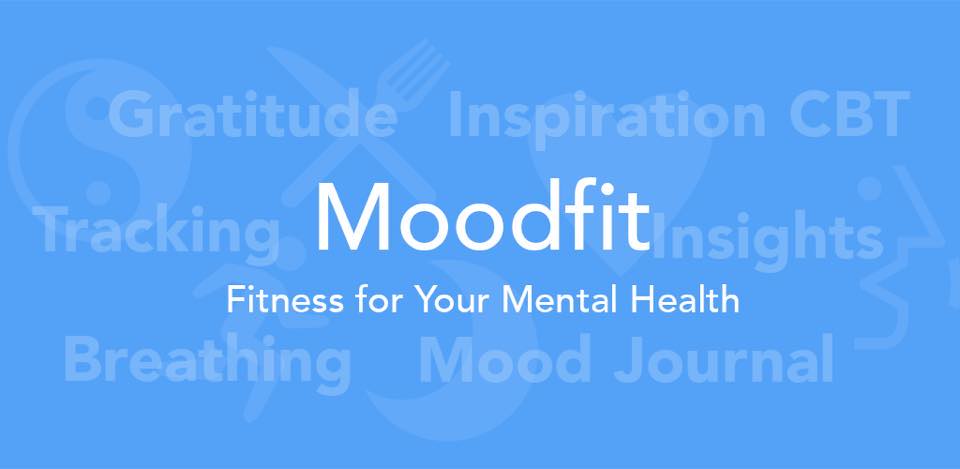 Moodfit Hero Graphic