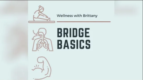 Bridge Basics Graphic