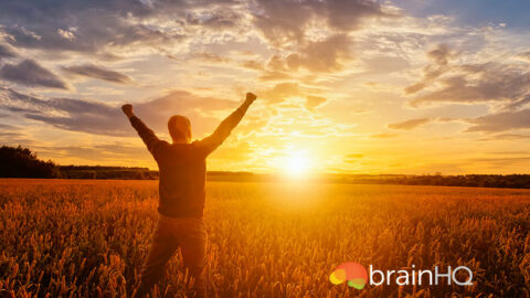 person holding arms up in field in front of suset