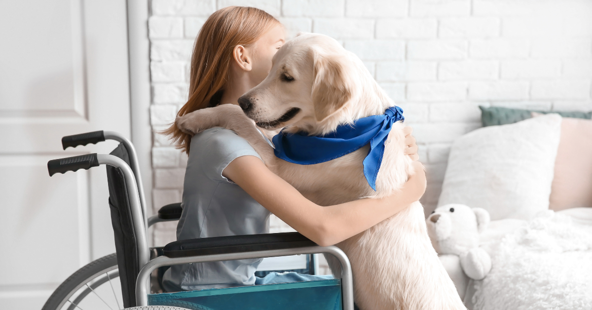 girl in wheelchair hugging golden retriever