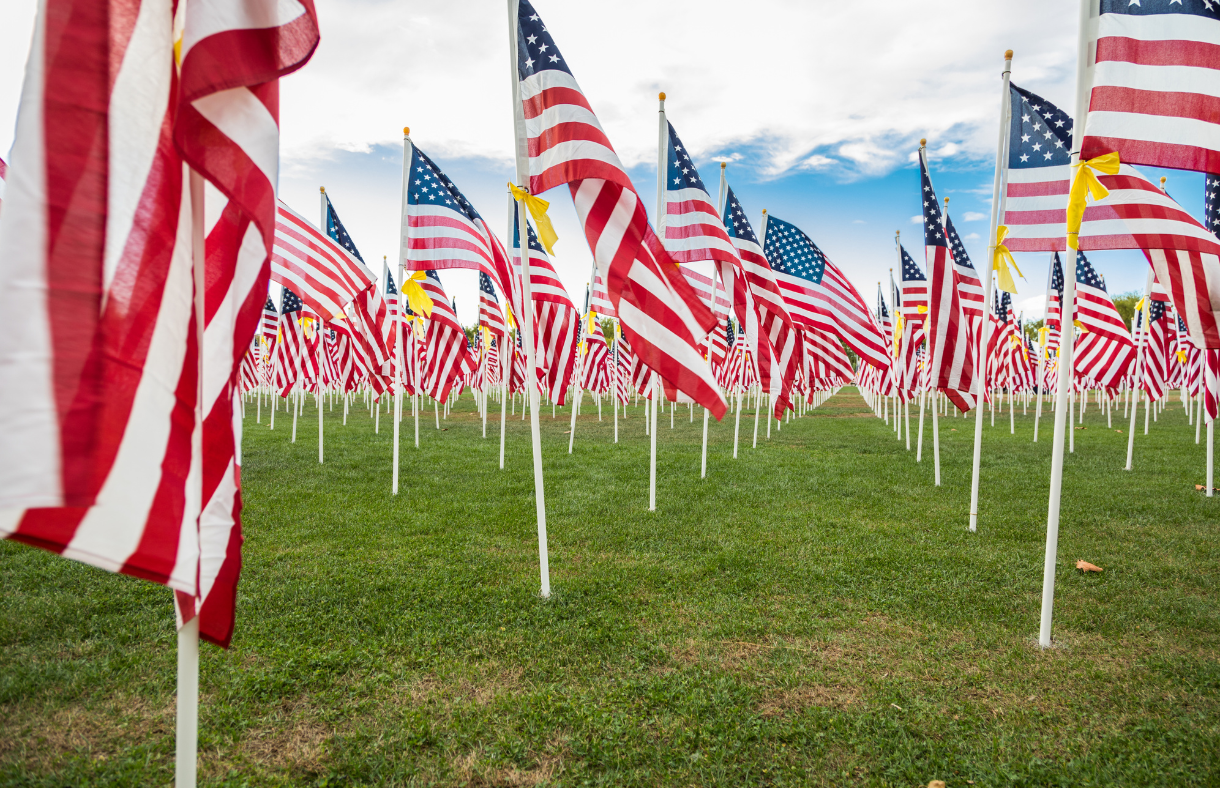 rows of American flags placed in the ground