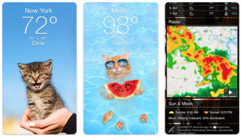 screenshots of weather kitty app, cute kitten against blue sky, kitten relaxing in pool with watermelon and weather radar