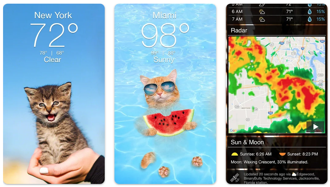 screenshots of weather kitty app, cute kitten against blue sky, kitten relaxing in pool with watermelon and weather radar