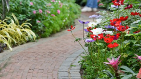 brick path in garden
