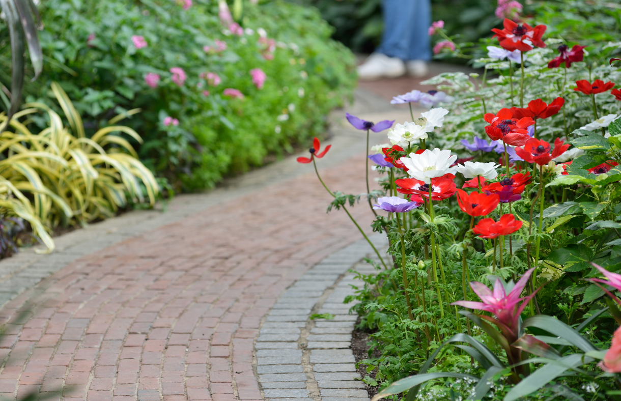 brick path in garden