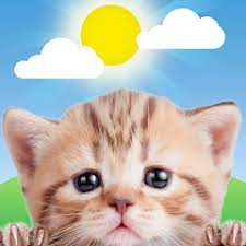 app icon image of kitten face