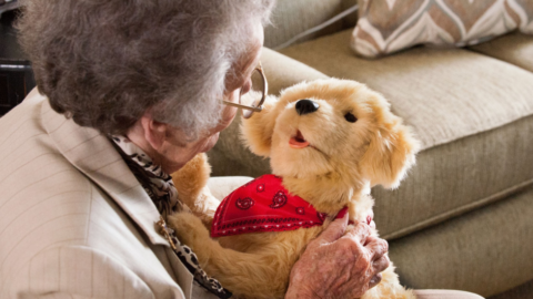 older adult lady holding interactive pup