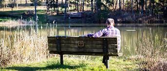 Man on bench looking over pond.