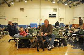 Group of people and dog around shelter tables