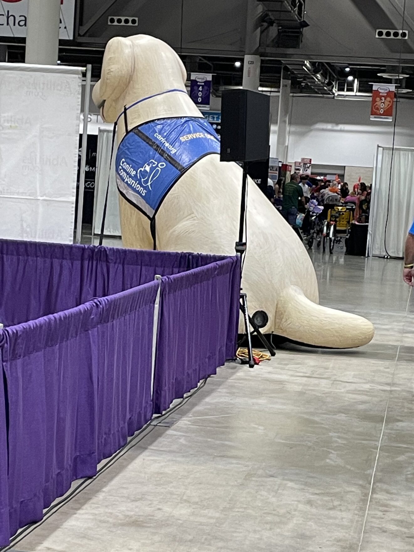 Giant "service dog" model from Canine Companions, left rear view. Dog is white and floppy-eared with a blue "Canine Companions" vest.