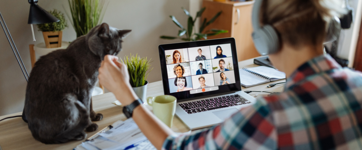 woman on video conference at desk with cat sitting next to her